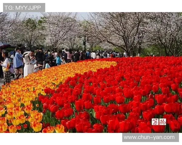 花海王者引领绚丽盛景演绎浪漫诗意天地彰显无尽唯美风华